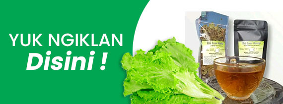Iklan Sidebar Kanan atas 2