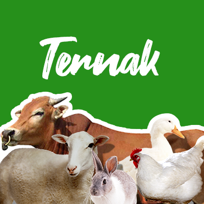 New_Icon_Ternak3.png