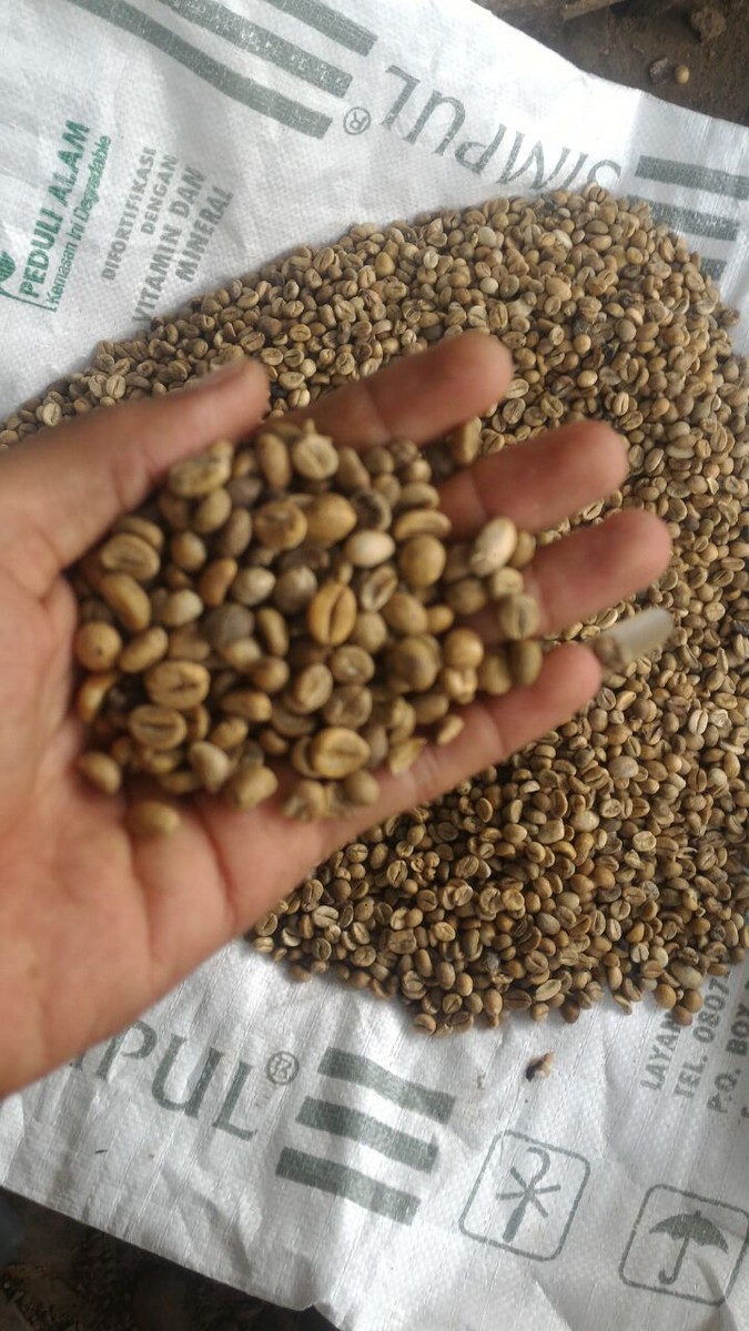 kopi agusen