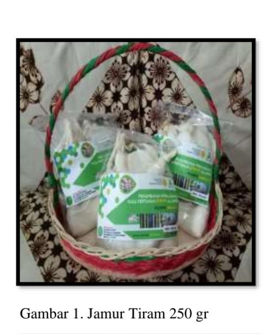 Jamur Segar