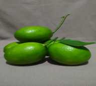 Buah Lemon California