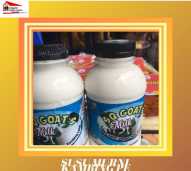 Susu Kambing SQ MILKY FARM